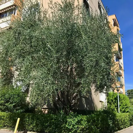 La Casa De Pierrot, T3 70m2, Parking Gratuit, Proche Centre-ville *